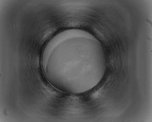 X0000095680640200801221226