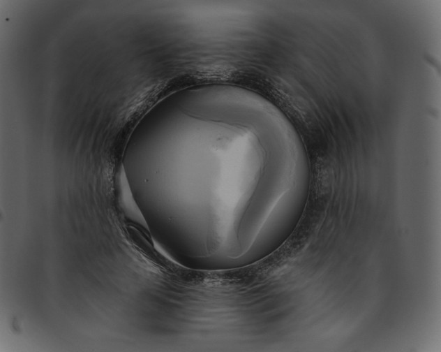 X0000095680641200801221226