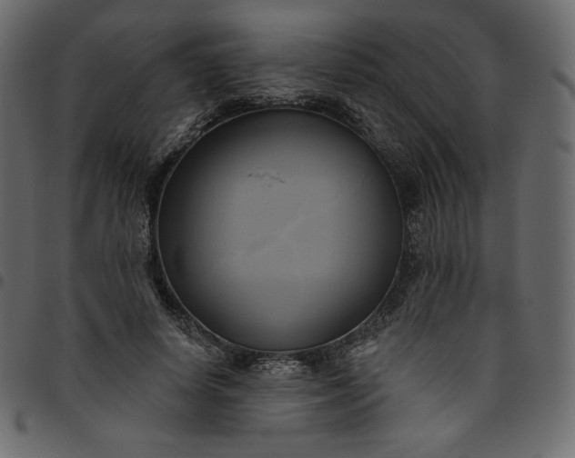 X0000095680642200801221226