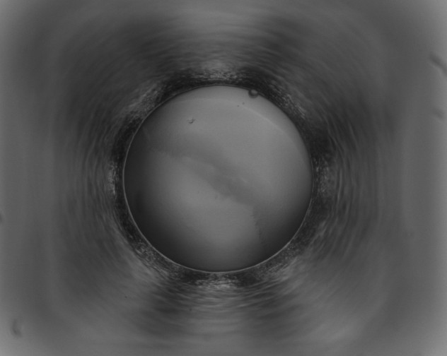 X0000095680643200801221226