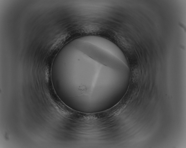 X0000095680644200801221227