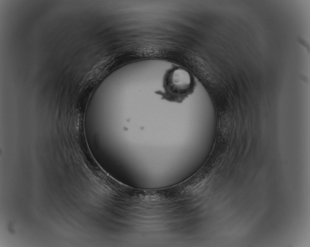 X0000095680645200801221227