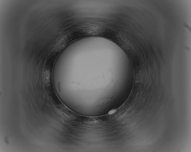 X0000095680646200801221227