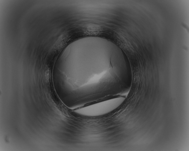 X0000095680647200801221227