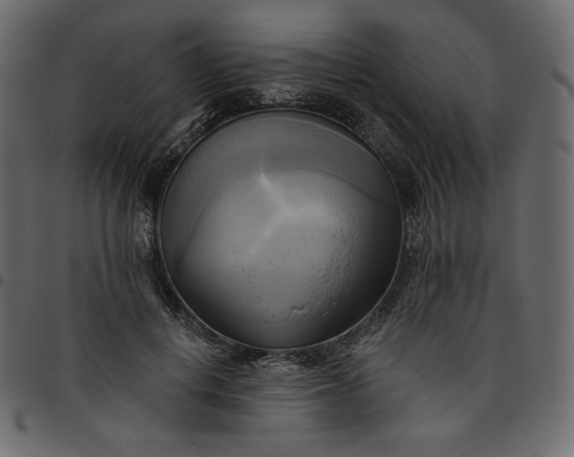 X0000095680648200801221227
