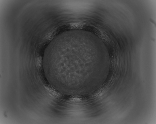 X0000095680649200801221227