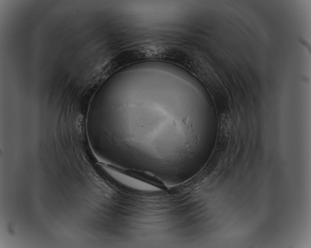 X0000095680650200801221227