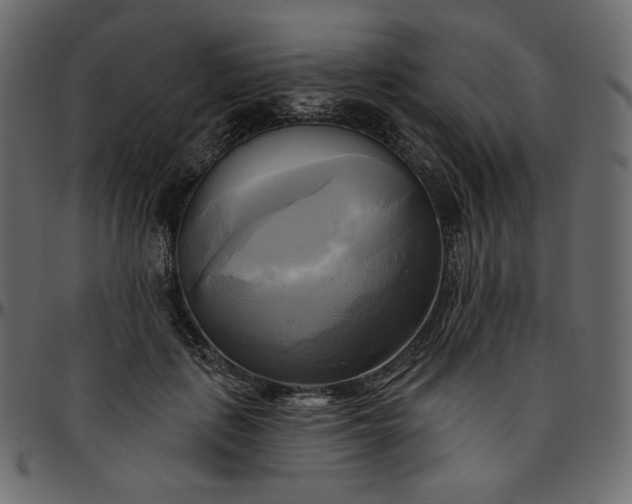 X0000095680651200801221227