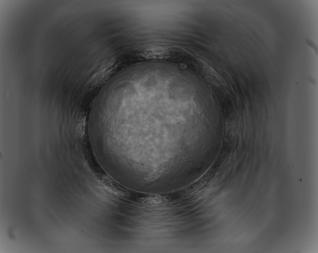 X0000095680652200801221227