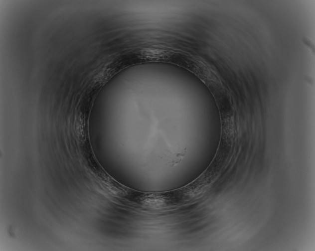 X0000095680653200801221227