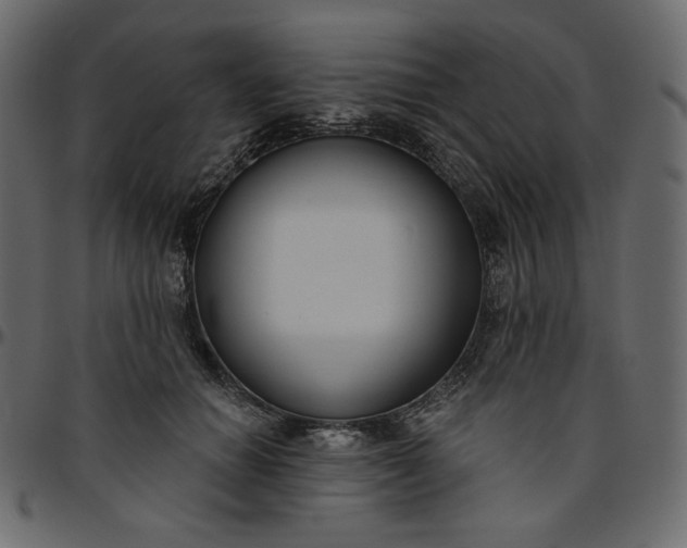 X0000095680654200801221227