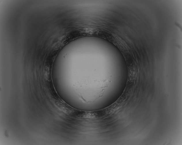 X0000095680656200801221227