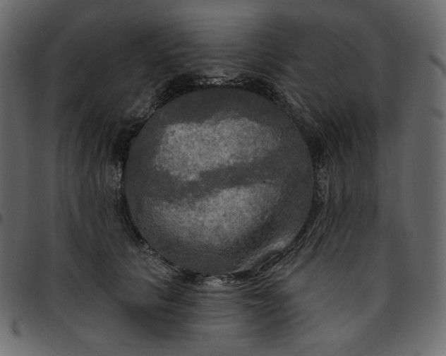 X0000095680657200801221227