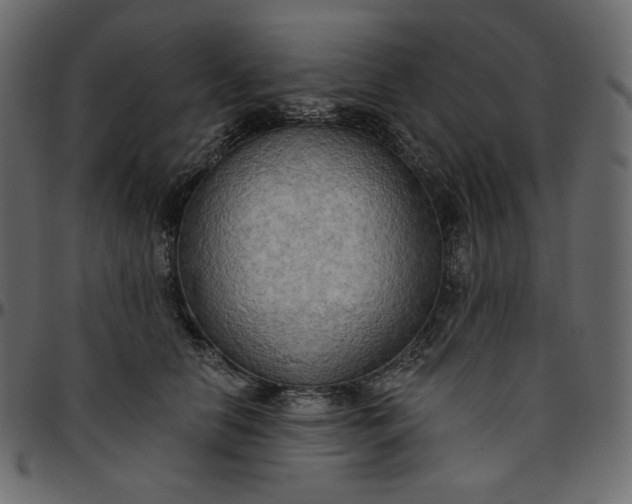 X0000095680658200801221227