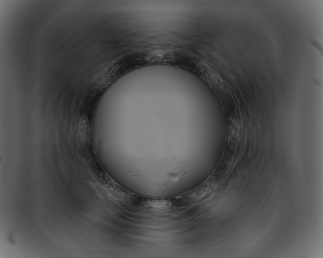 X0000095680659200801221227