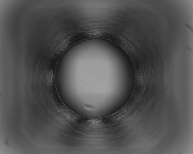 X0000095680660200801221227