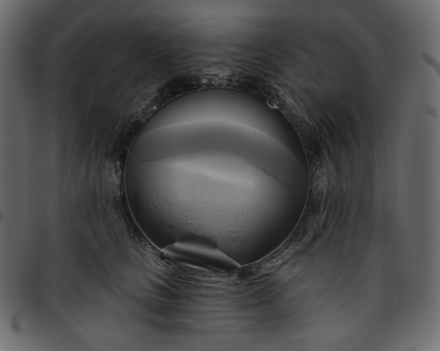 X0000095680661200801221227