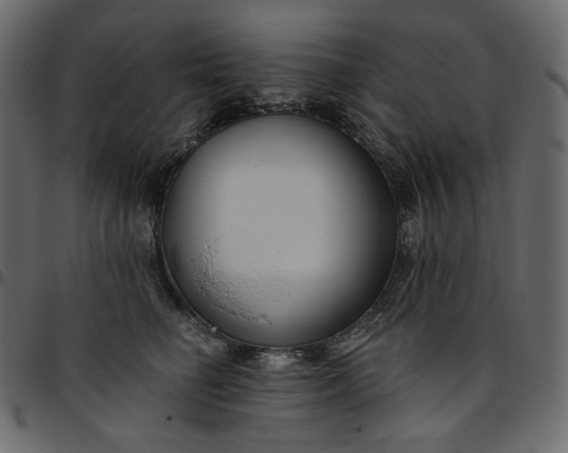X0000095680662200801221227