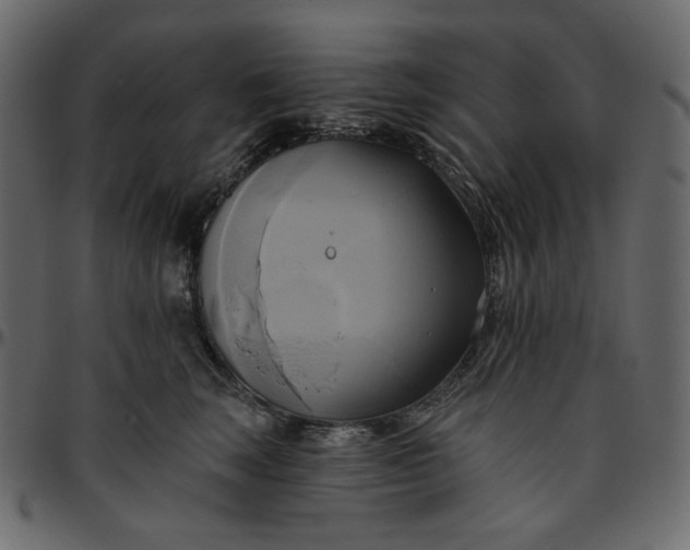 X0000095680663200801221227