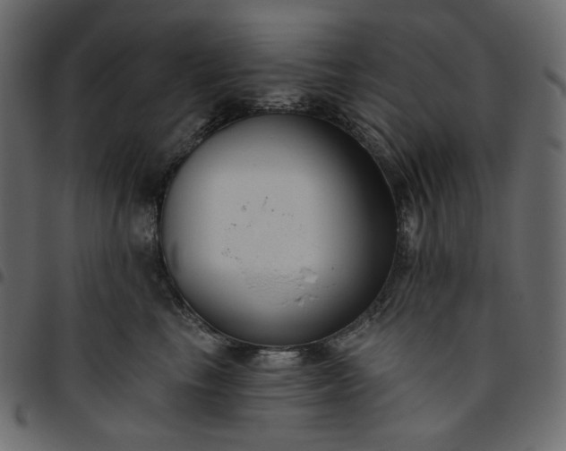 X0000095680665200801221227
