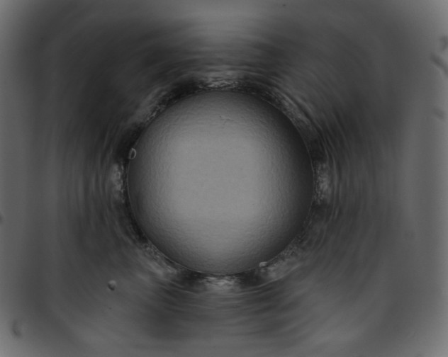X0000095680667200801221227