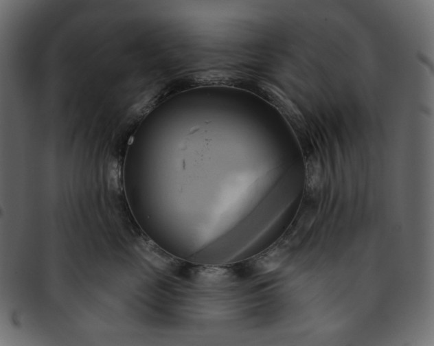 X0000095680669200801221227
