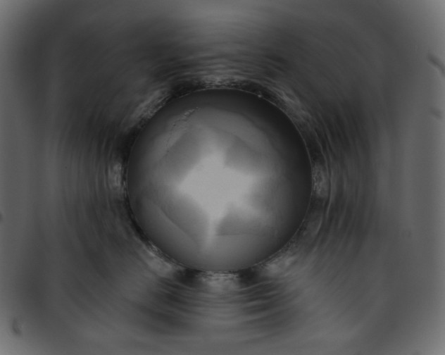 X0000095680670200801221227