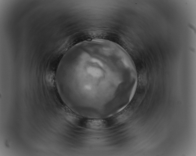X0000095680671200801221227