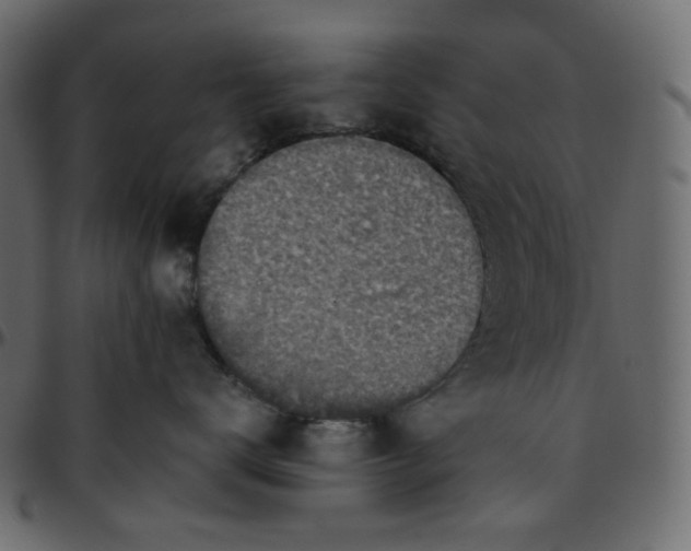X0000095680672200801221227