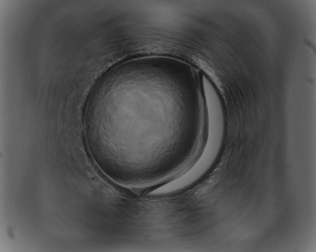 X0000095680673200801221226