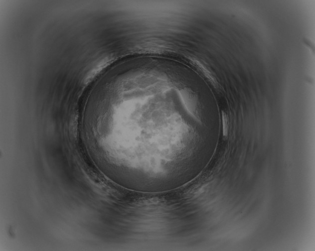 X0000095680675200801221226