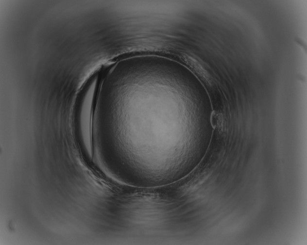 X0000095680676200801221226