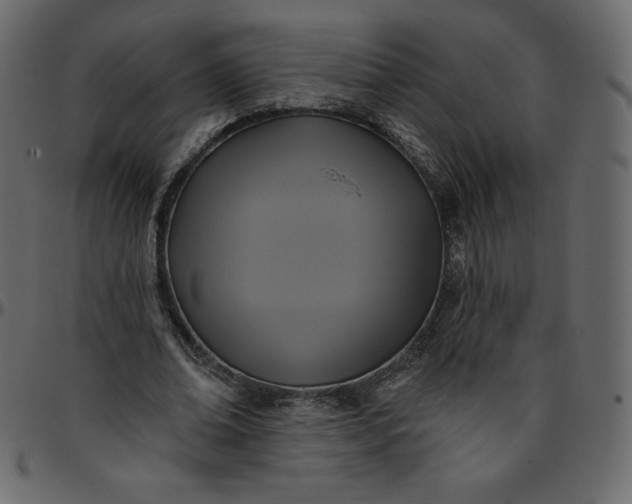 X0000095680678200801221226