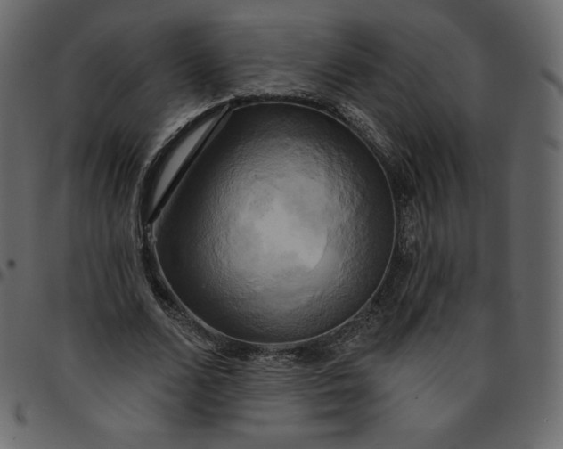 X0000095680680200801221226