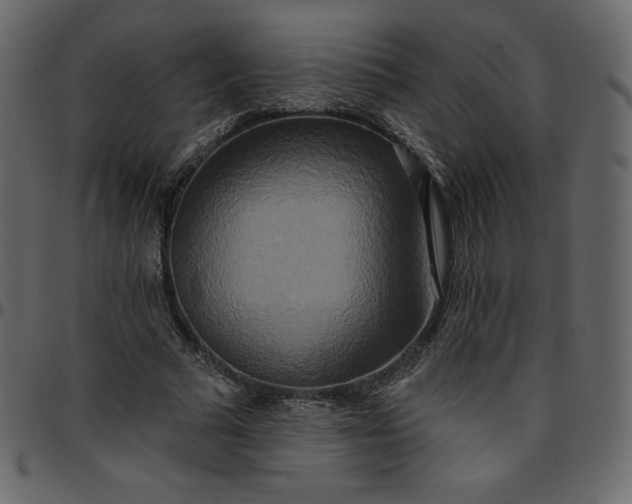 X0000095680681200801221226