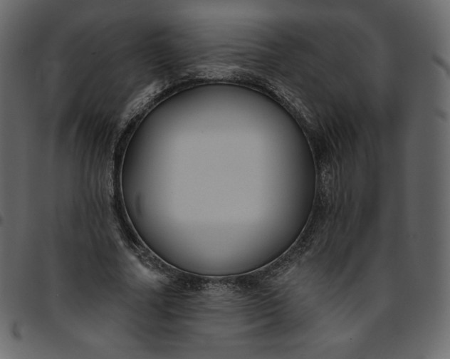 X0000095680682200801221226