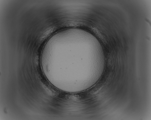 X0000095680683200801221226