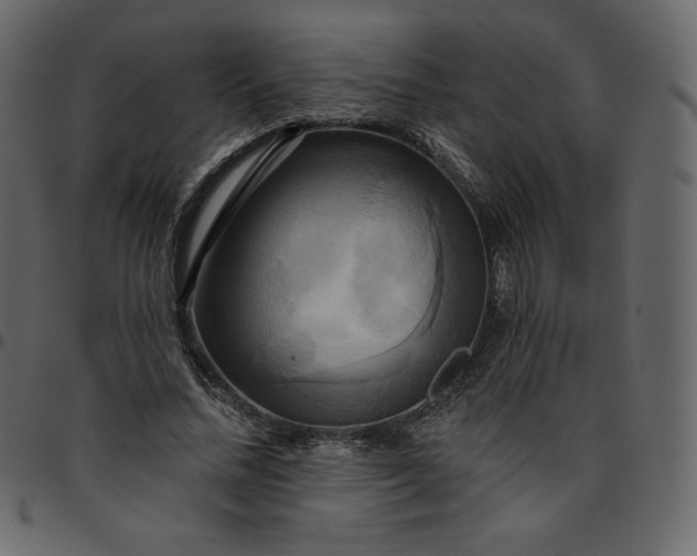 X0000095680684200801221226