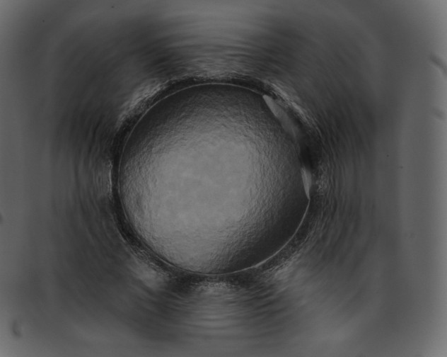 X0000095680685200801221226