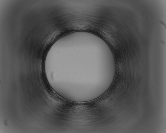 X0000095680686200801221226