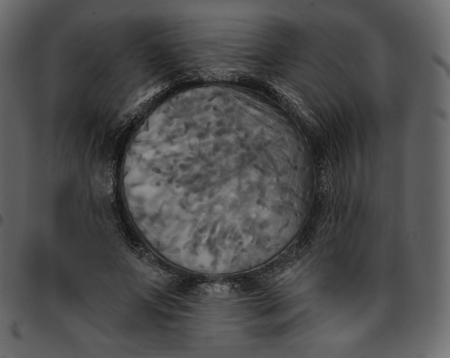 X0000095680687200801221226