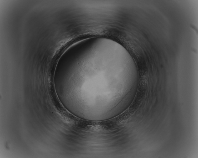 X0000095680688200801221226