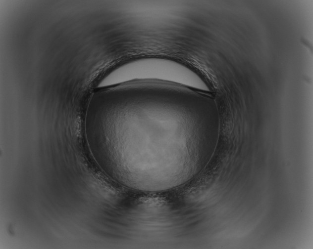 X0000095680689200801221226