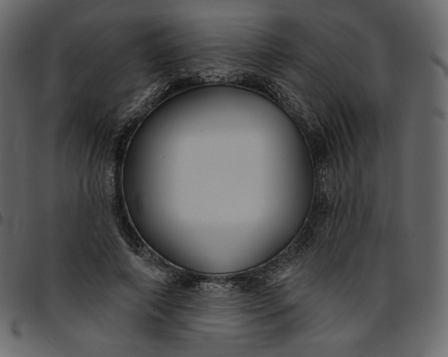 X0000095680690200801221226