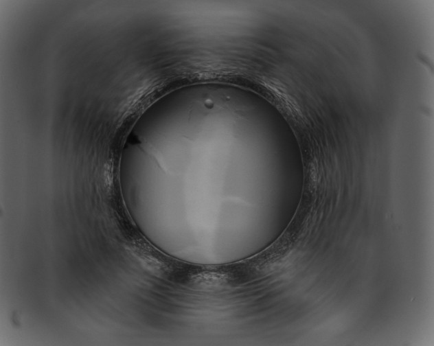 X0000095680691200801221226