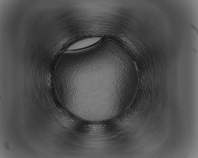 X0000095680693200801221226