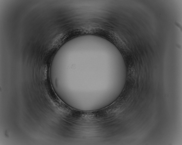 X0000095680694200801221226