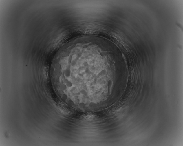 X0000095680695200801221226