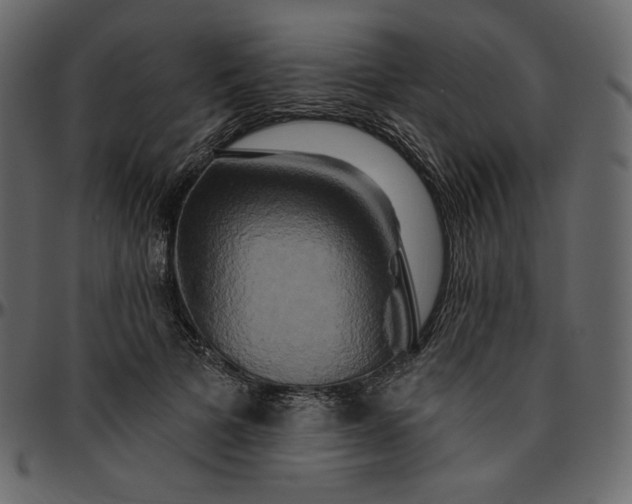 X0000095680697200801221226