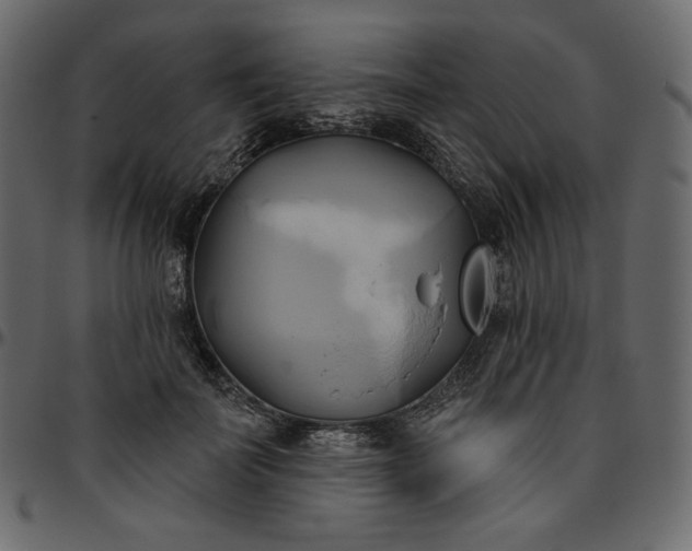 X0000095680699200801221226